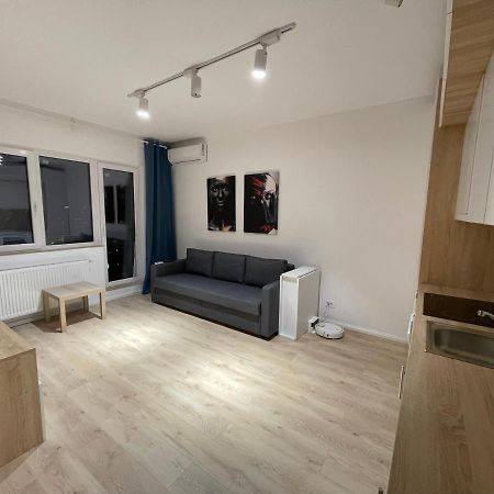 Amethyst Luxury Apartment Palace Bukarest Eksteriør billede