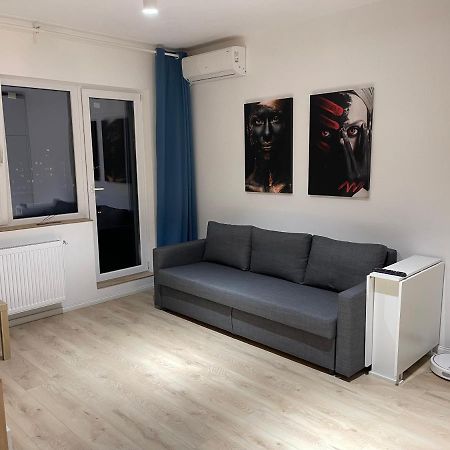 Amethyst Luxury Apartment Palace Bukarest Eksteriør billede